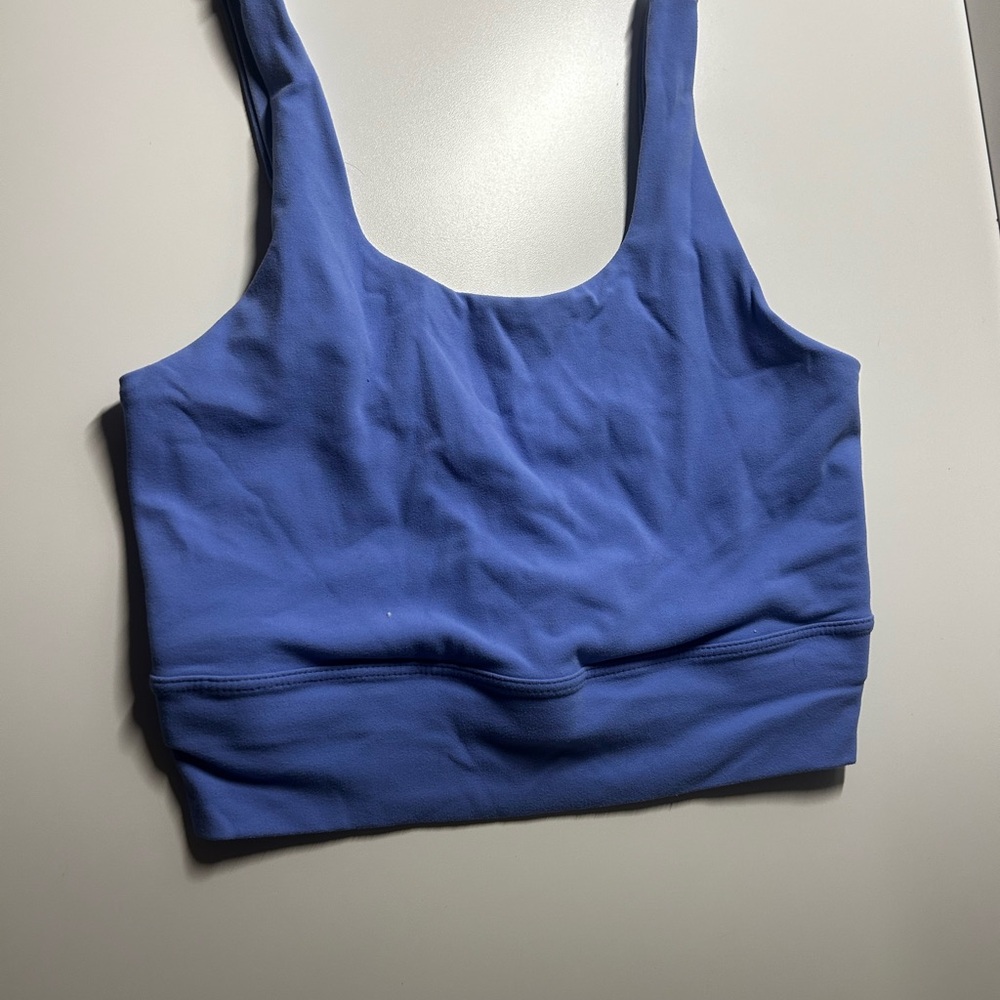 Nike Periwinkle Sports Bra